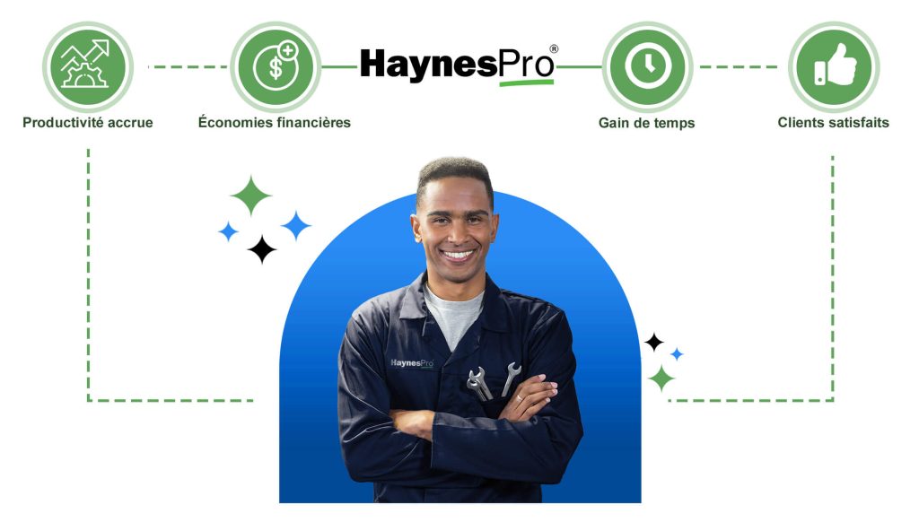 Haynes Pro