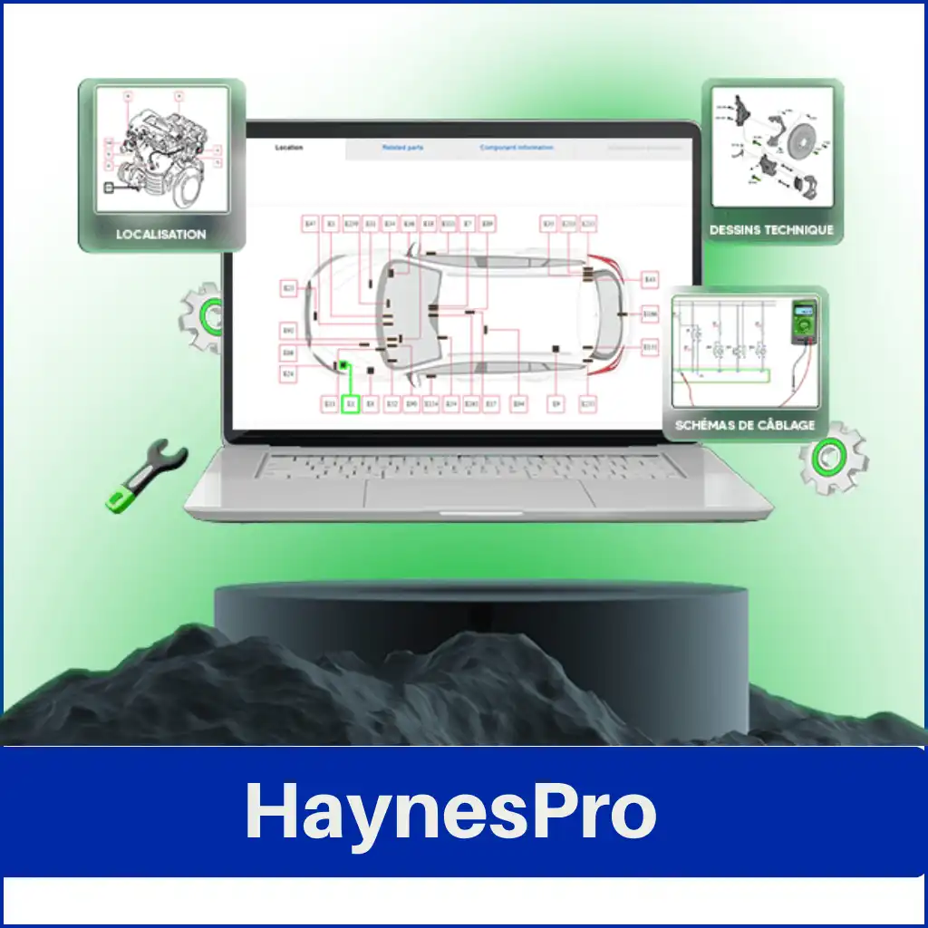 Hyanes pro catégorie